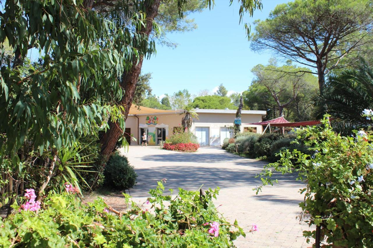 Camping Campo Dei Fiori - Glamping4All Vada Zewnętrze zdjęcie
